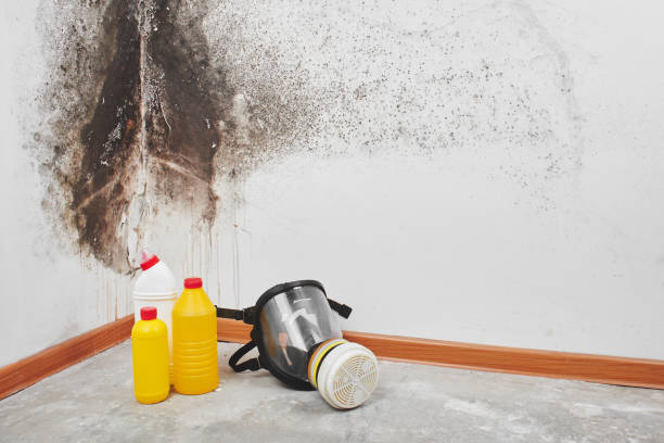 Best Emergency Mold Removal  in Cordova, AL