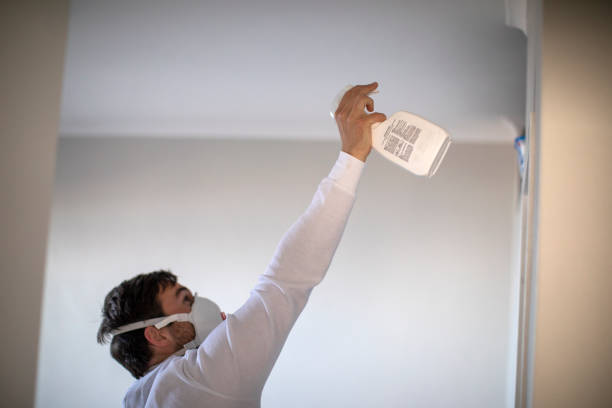 Best Attic Mold Removal  in Cordova, AL