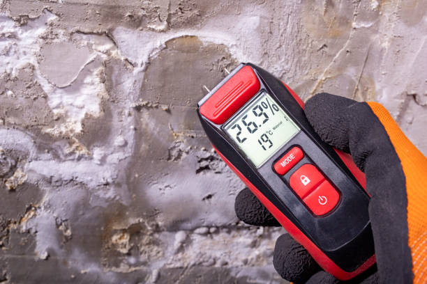 Best Crawl Space Mold Removal  in Cordova, AL