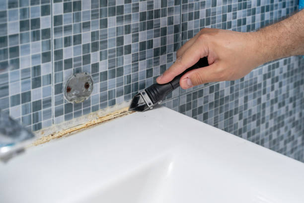 Office Mold Removal Services in Cordova, AL